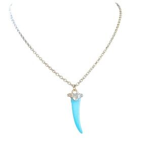 Turquoise Tooth Necklace